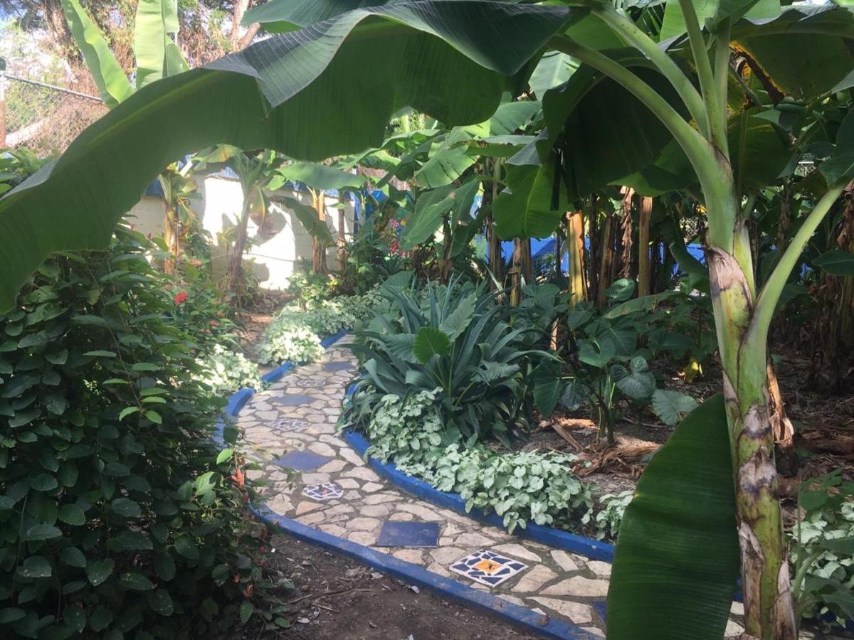 サンティアゴ・デ・ロス・カバリェロス Sana El Jardin Secretoホステル エクステリア 写真