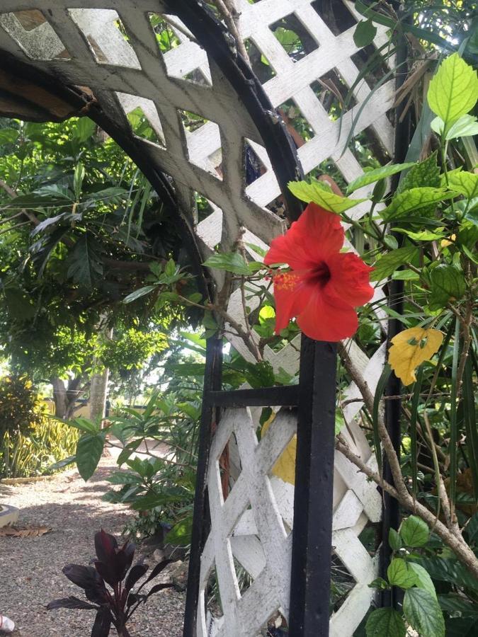 サンティアゴ・デ・ロス・カバリェロス Sana El Jardin Secretoホステル エクステリア 写真